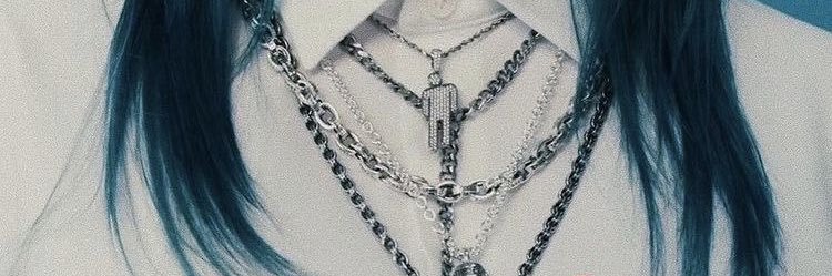 lierni 🦭 *ੈ✩‧₊˚ banner