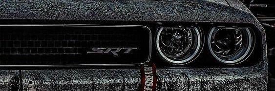 searchofwisdom's profile banner image