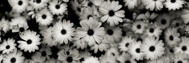 Kathe_red's profile banner image
