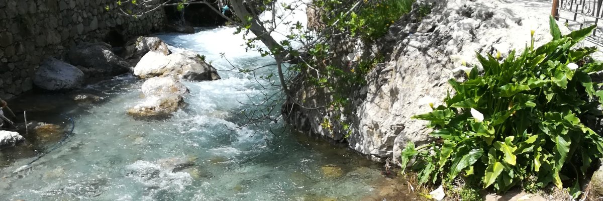 conchavalls's profile banner image