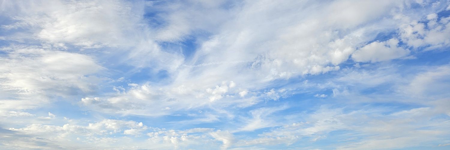 Shawn Jackson banner