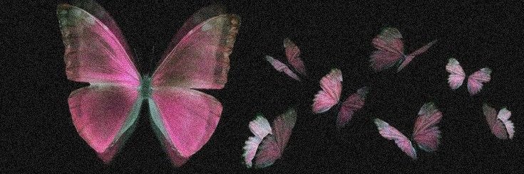 starprismy's profile banner image