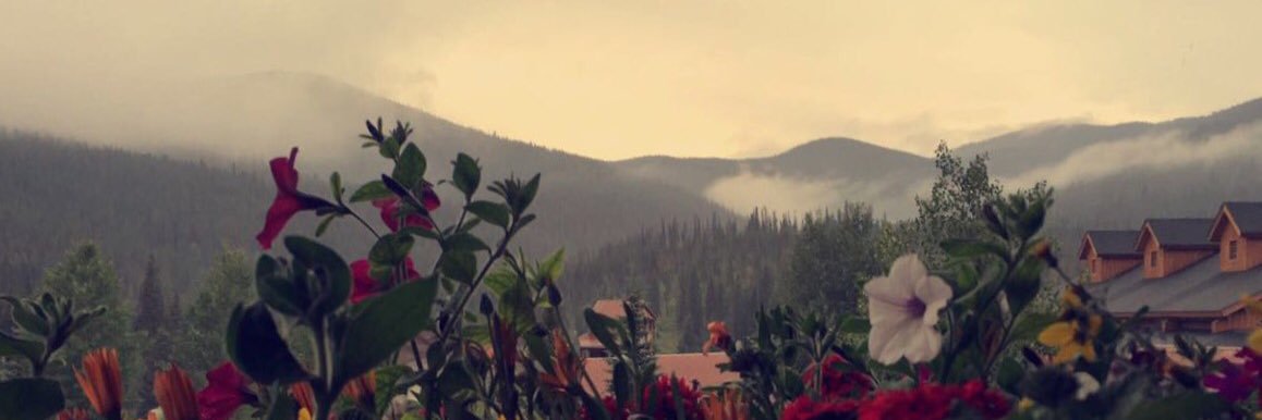 CaylaSeder's profile banner image