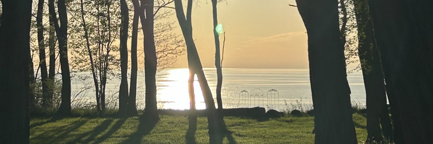 raedenez's profile banner image