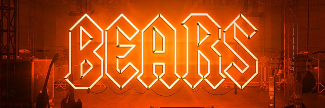 Chicago Bears Central banner