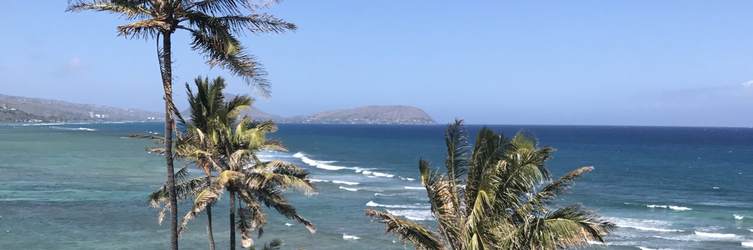 This Is Howie Dewitt banner