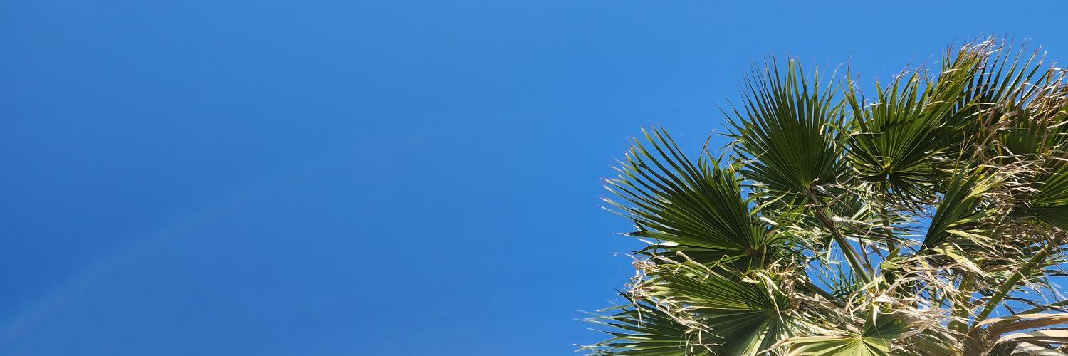 po1013yo's profile banner image