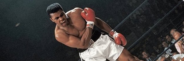 av_asoglu's profile banner image