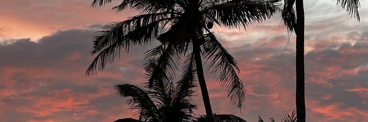 BobinhaAki's profile banner image