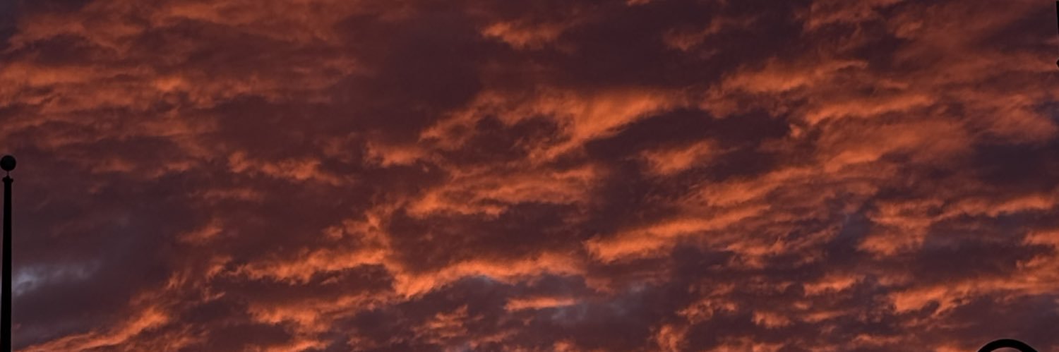 Jerilynnnn's profile banner image