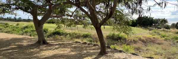 cryptotainos Profile Banner