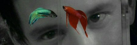 Nagi_Immortal banner