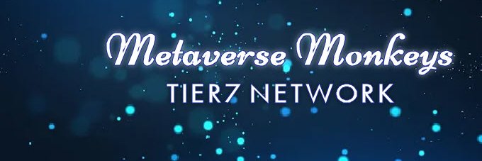 DimezCapital🪙 banner