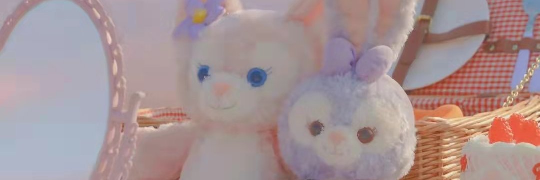 西瓜 banner