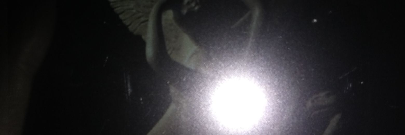 ParraRojas3's profile banner image