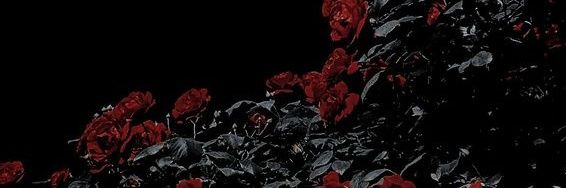 draculamood's profile banner image