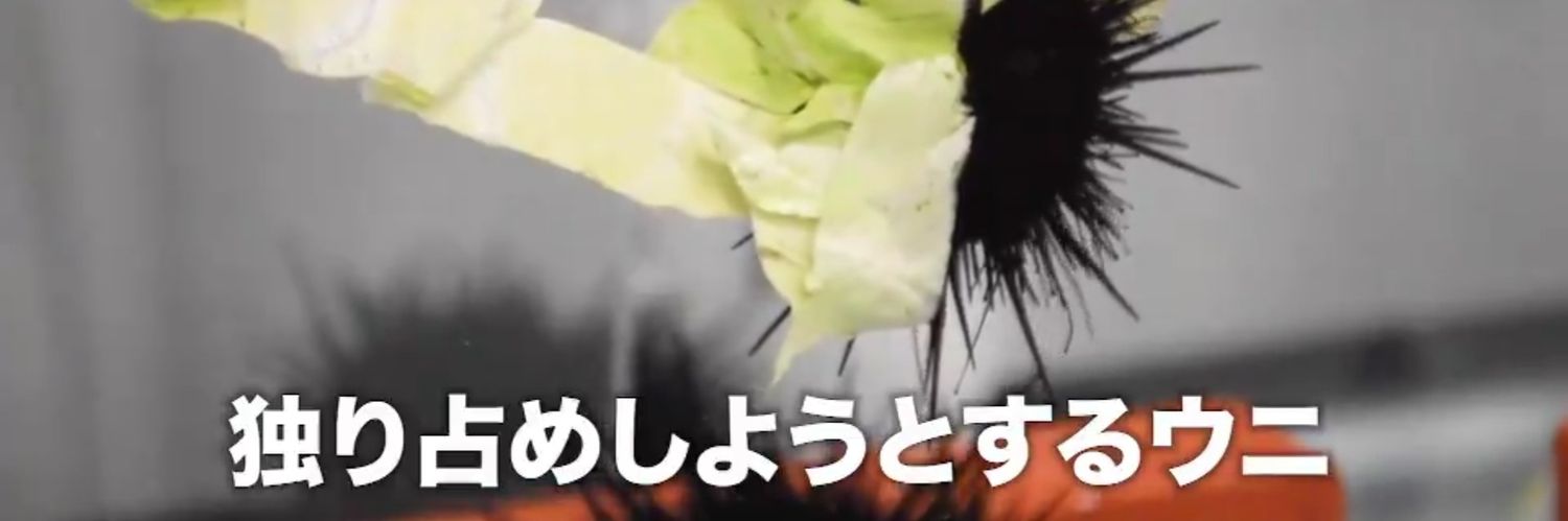 tsukky3's profile banner image