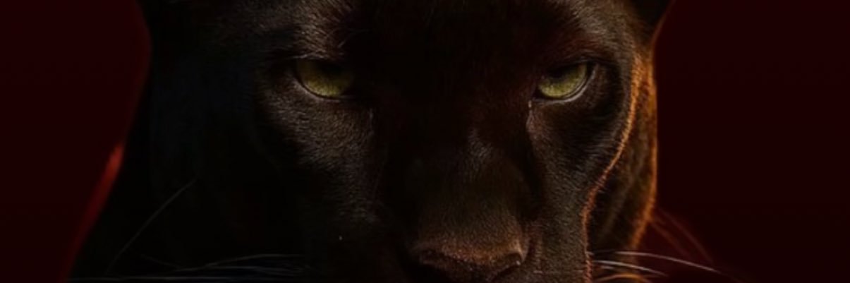 verozavala99's profile banner image