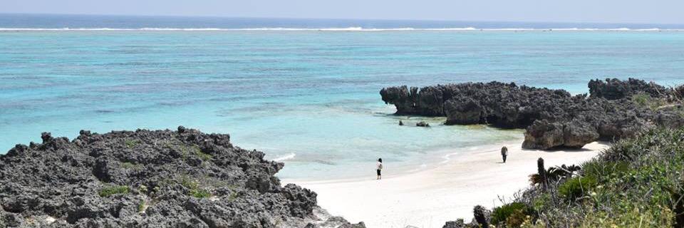 とっつー / Tomoya Tozuka banner