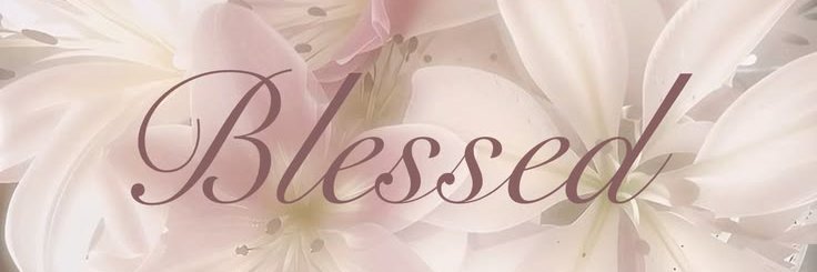 LilyTemptsXo's profile banner image