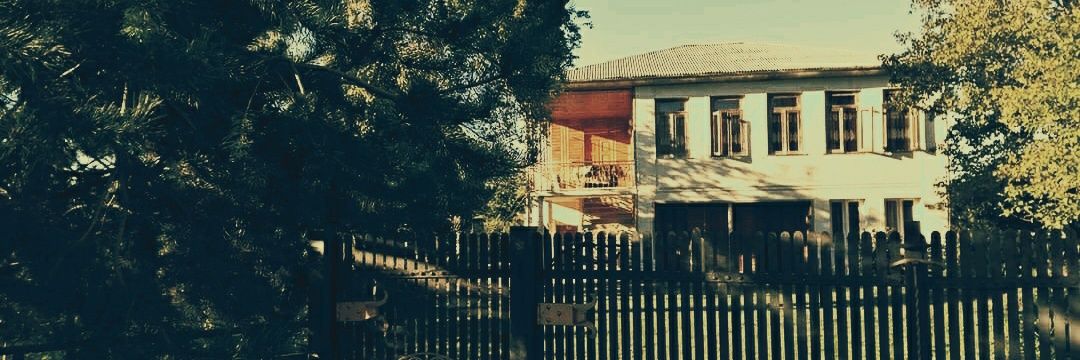 tokobechva's profile banner image