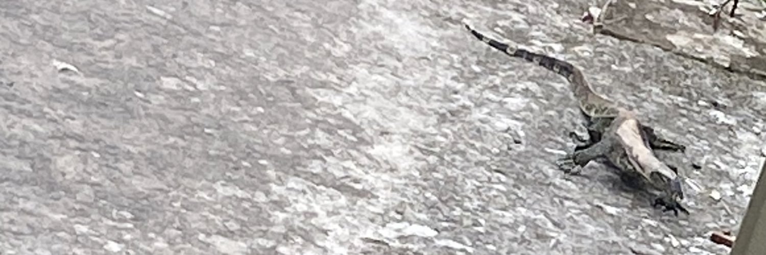 the good the bad and mayci :p banner