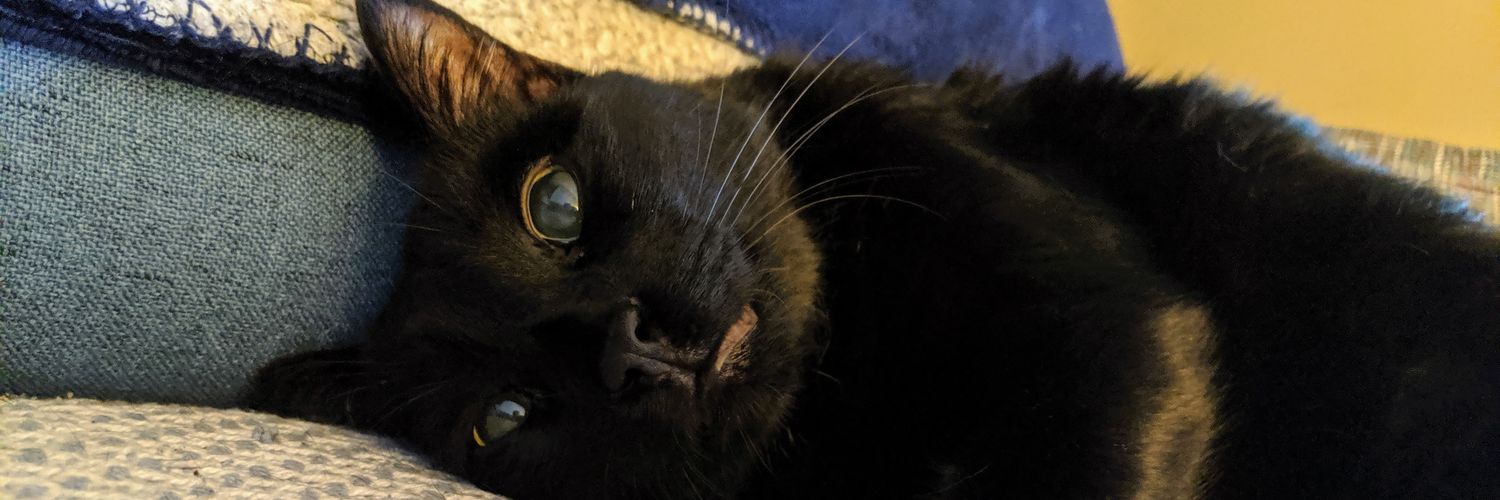 tchovince's profile banner image