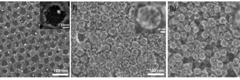 Prof. Dr. Anna Fischer banner