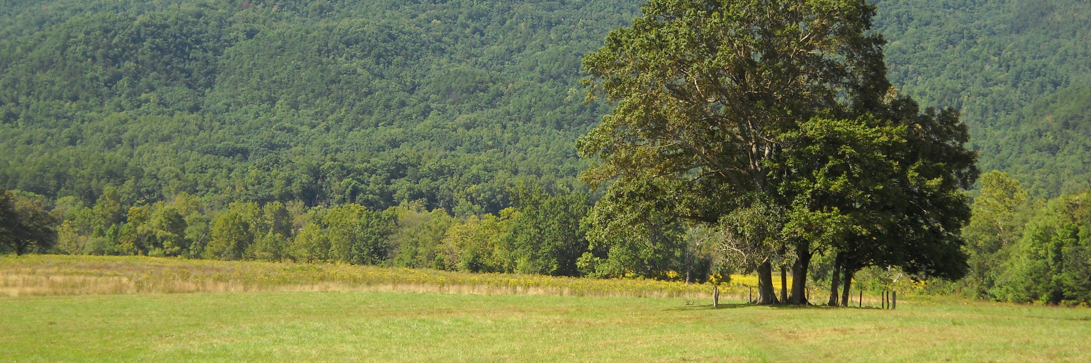 Brian Arner 🇨🇭🇺🇦 banner