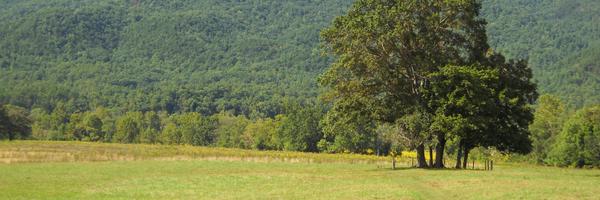 barner Profile Banner
