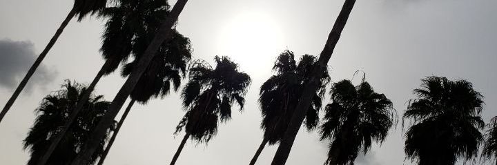 falloutsteph's profile banner image