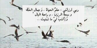 7anan_dr's profile banner image
