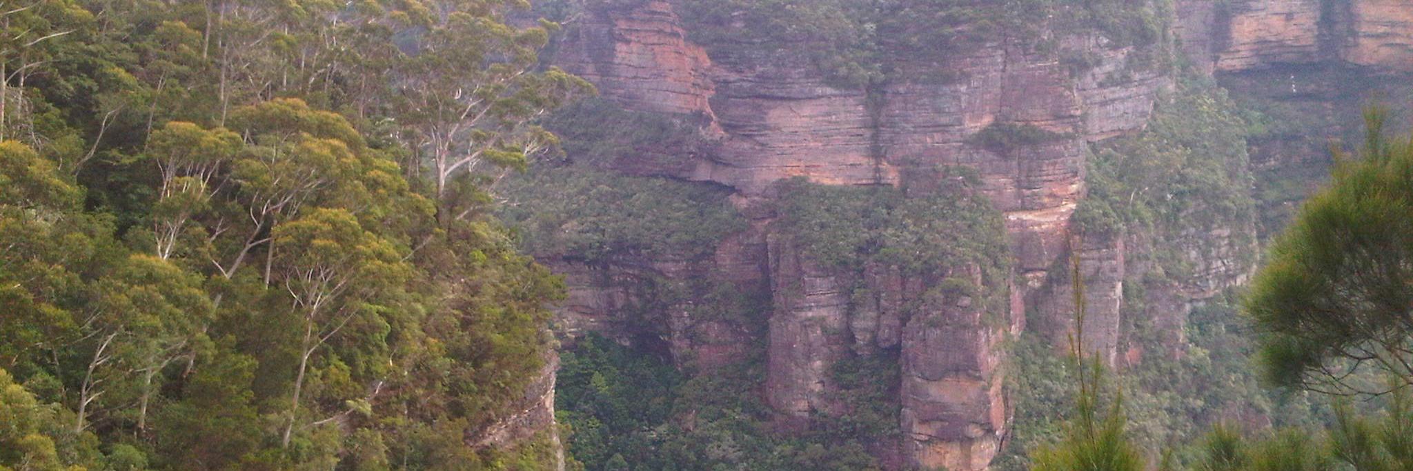NSWYLBushWeb's profile banner image