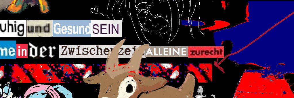 Bhloopy banner