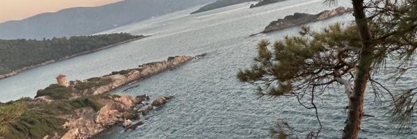 roseofverda Profile Banner