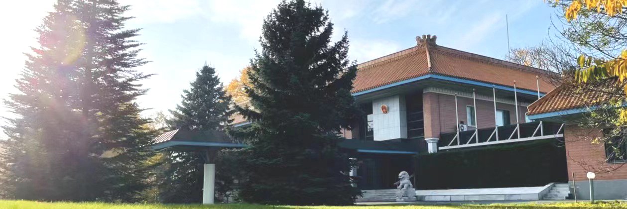 Chinese Embassy in Sweden banner
