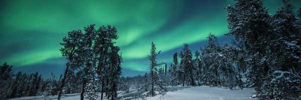 RexKai Profile Banner