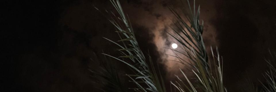 𝙈 banner