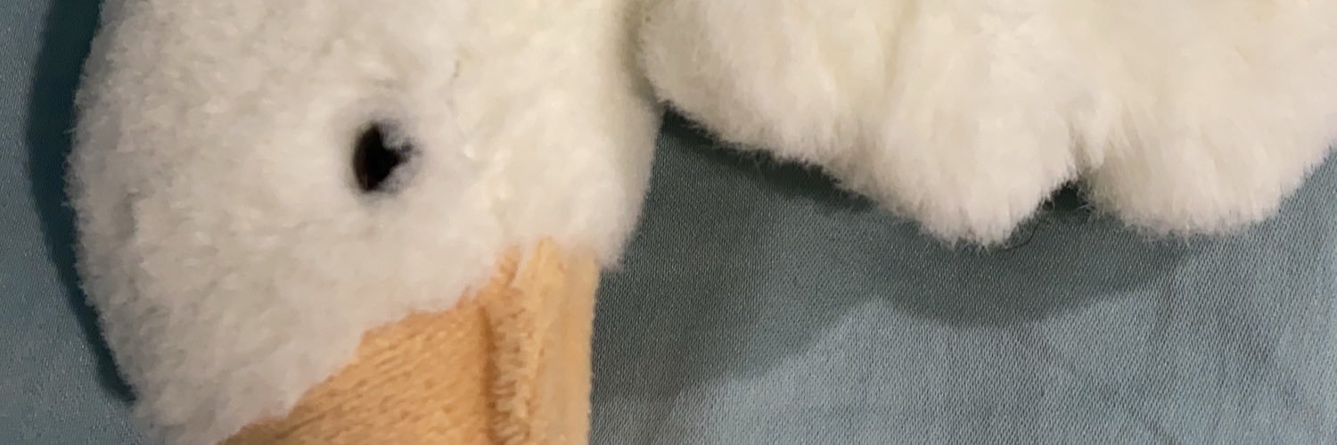unicorn_817's profile banner image