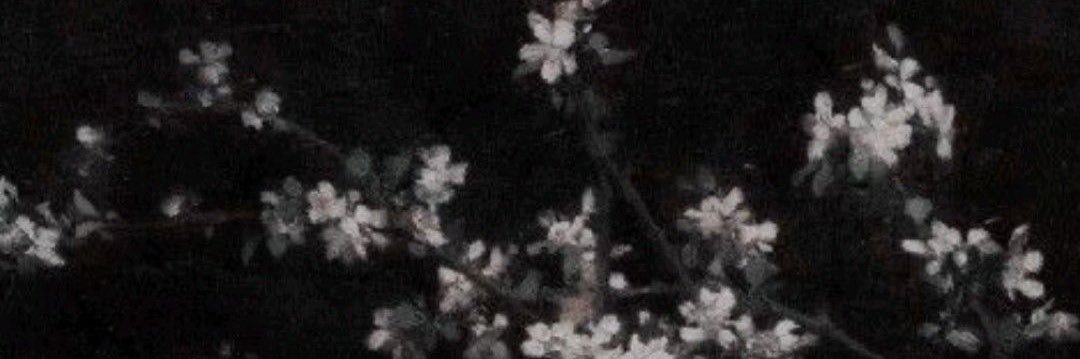 D.daw banner