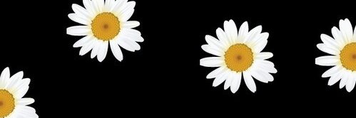 _Jazbu's profile banner image