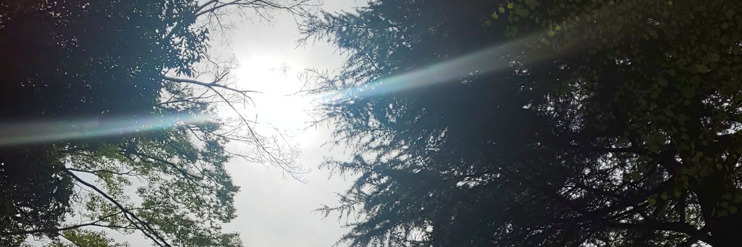Wa_ra_mi's profile banner image
