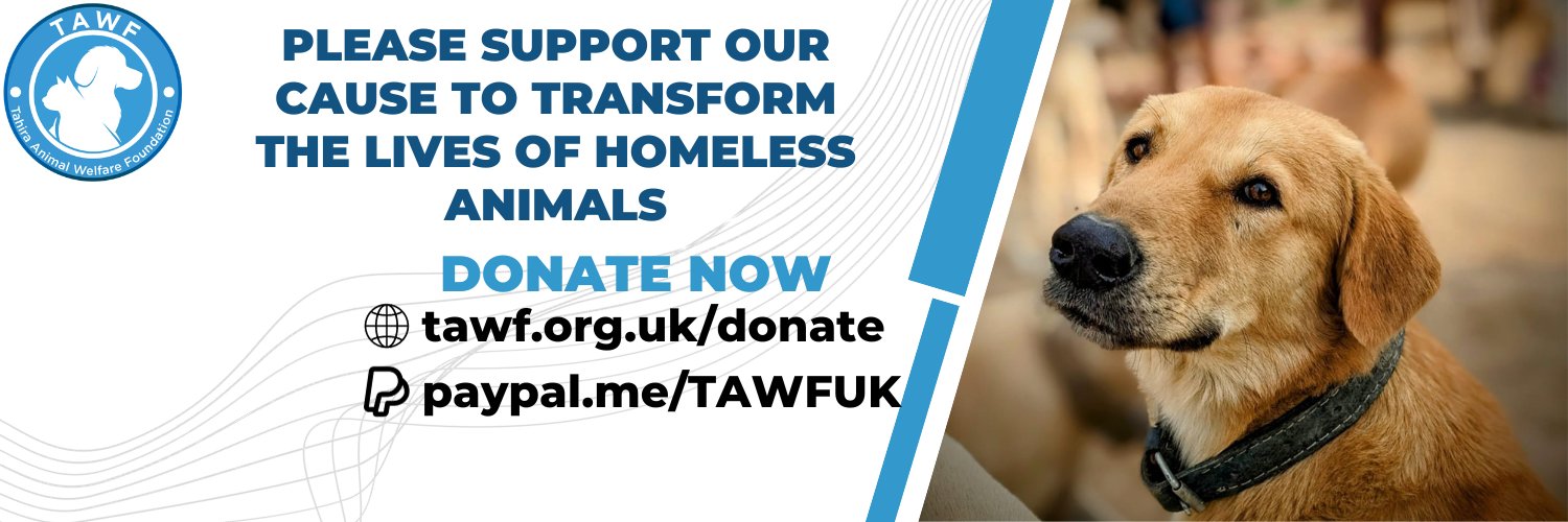 Tahira Animal Welfare Foundation - TAWF's banner