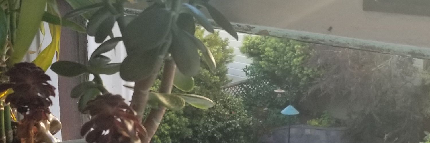 Fresherson's profile banner image