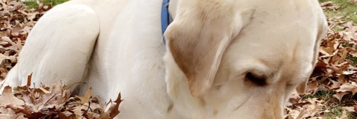 yoursunatt's profile banner image
