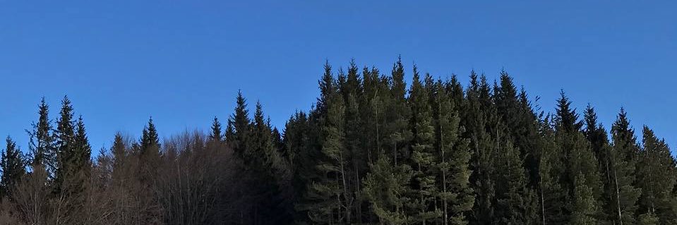 пекар та аптекар banner