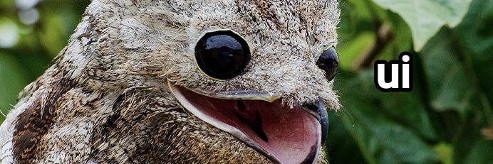 Candraznon's profile banner image