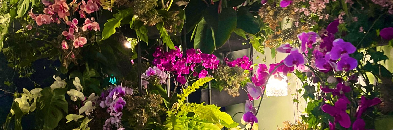 ひなこ banner