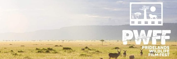 PWFFEST banner