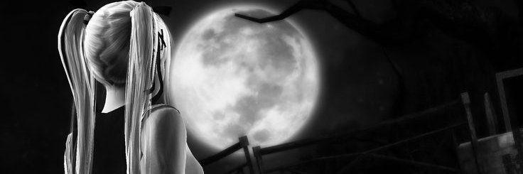 VampireServices's profile banner image